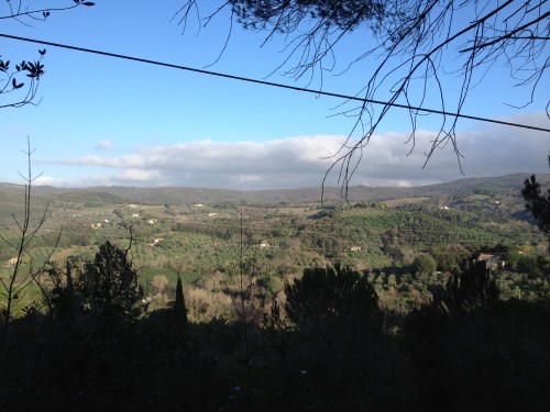 the dogs were so happy we took them on this 3 hour walk