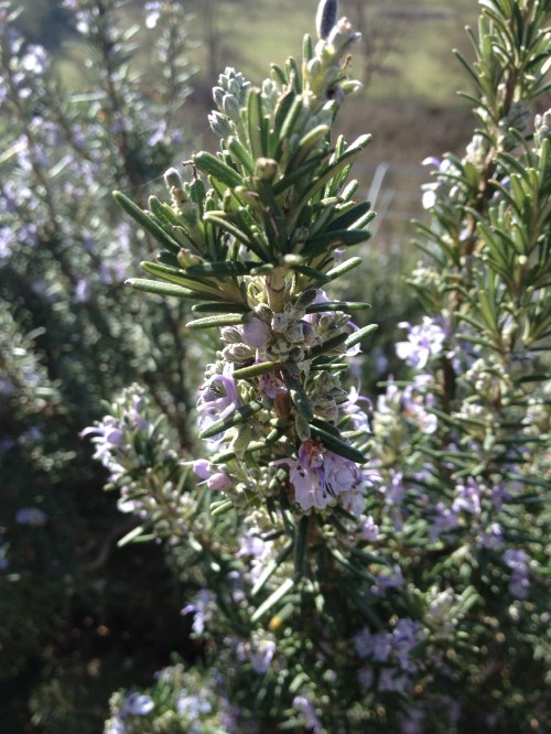 up close and personal