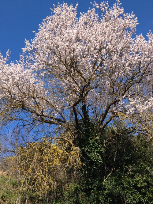 spring sent us an early gift