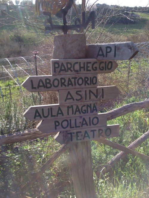 the directions that I never used